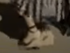 2023-05-23_08-07-39.png