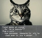 IMG_4178.jpeg