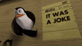giphy (13).gif