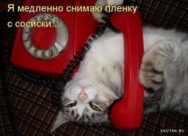 6476660_original.jpg