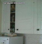 45608657_original.jpg
