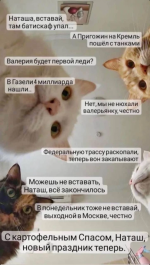 IMG_6346.png