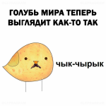 IMG_6385.png