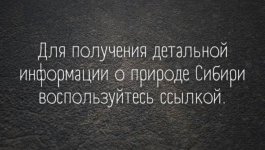 911e045b4ae104c626d8f1c154d0cc1203932514117c8047a77f55447db91936.jpg