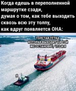 6563144_original.jpg