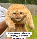 6553930_original.jpg