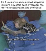IMG_6699.jpeg