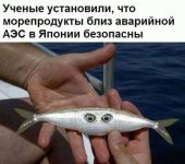 6624155_original.jpg