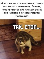 18248369.jpg