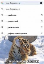 18250252.jpg