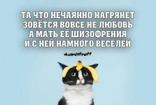 1811554_original.jpg