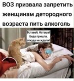552450_600.jpg