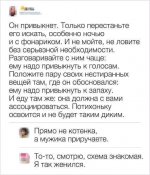дикий.jpg