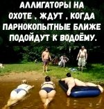 47470636_original.jpg