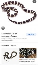 IMG_20230806_191816.jpg