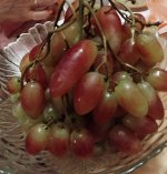 IMG_20230810_225752.jpg