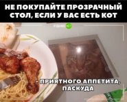 PsPvU4EHLxxhW6yU7_38ZnEC7tn2l9Lnvv6PFm50LTh3mBcV7xX0nrqG-mXcPRc4bFwx1F-rzvr06vwIWtQ-enDB_VCWTT...jpg
