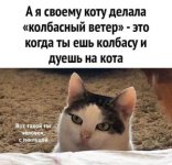 9303_300.jpg