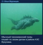 6766405_original.jpg