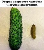 IMG-b8fe2f1c3b92ceef41422ffdf5144264-V.jpg