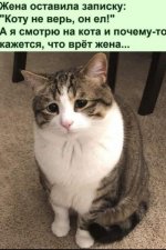 1690525024.jpg.9bb4de1bada5615bcd0bae766272c21c.jpg