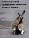 34772-2a7a7adb6b2692bfd0db1408456b1dc0.png