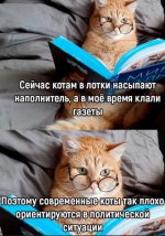 6808460_original.jpg