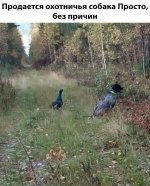-bQ9Ulwwmm0.jpg