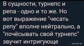 1694343181_shutok.ru.18391097.jpg