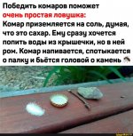 6821200_original.jpg