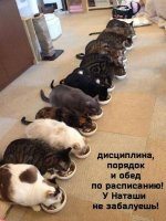 дисциплина и порядок.jpg