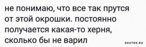 1694718507_shutok.ru.6.jpg