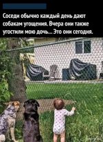 6837140_original.jpg