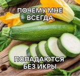 49940164_original.jpg