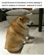49937814_original.jpg