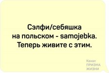 scale_1200 (344).jpg