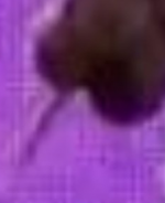 2023-10-02_20-36-54.png