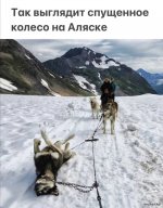 1697542635_shutok.ru.3.jpg
