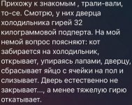 18504412.jpg
