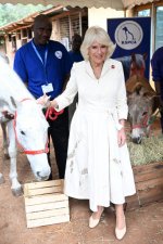 gettyimages-1768435452-612x612.jpg
