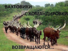 36610-a2b6eabd1160e99846247efae861b16a.png