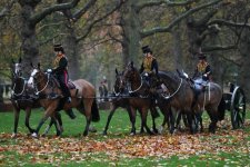gettyimages-1792969683-612x612.jpg