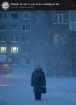 IMG_0655.jpeg
