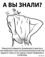 1701534733_shutok.ru.18642239.jpg