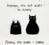 IMG_0790.jpeg