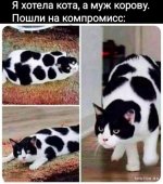 1702668283_shutok.ru.18677953.jpg
