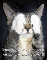 IMG-408bd121f266e45ca7b9329ba86e9c62-V.jpg
