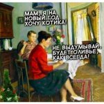 VM0ERGn8x78.jpg