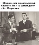 230968_original.jpg