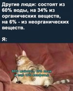 IMG_1392.jpeg